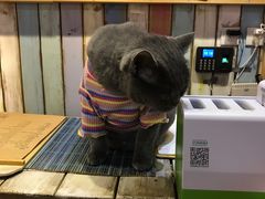 -小时光咖啡馆(开森度假森林店)
