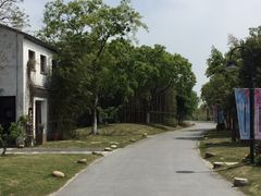 -田园东方蜜桃村的田野营地
