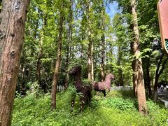 -东平国家森林公园