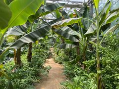 -呀路古热带植物园