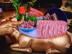 -尚海豆捞(乐虹坊店)