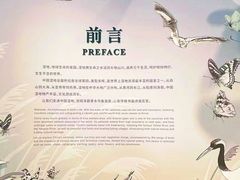-中国湿地博物馆