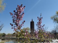 -西海子公园