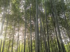 -苏州环秀晓筑养生度假村