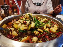 -乡土特色.冷锅鱼.牦牛肉汤锅