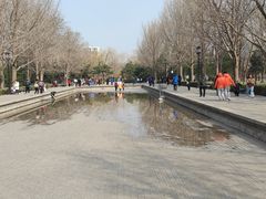 -玲珑塔公园