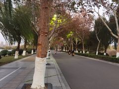 -云龙湖旅游景区