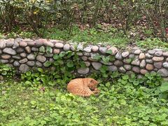 -长辛店二七公园