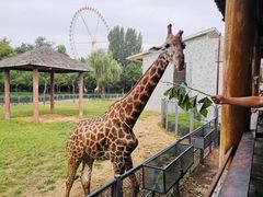 -石家庄市动物园