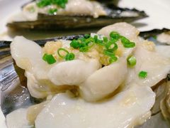蒜蓉带子-海蓝海鲜馆(五四北店)