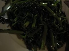 -越海渔村