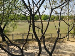 -北京麋鹿生态实验中心