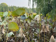 -云龙湖旅游景区