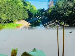-东郊湿地公园
