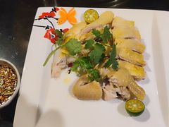 -渔家火锅·海鲜自助餐·演艺(亚龙湾天域酒店)