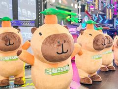 -正佳雨林生态植物园