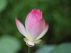 -白沙门生态公园