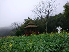 -广州市石门国家森林公园