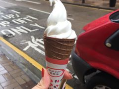 -富豪雪糕车流动点(尖沙咀店)