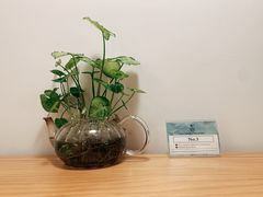 -黑石咖啡(小十字店)