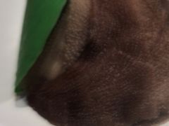 -九鼎轩火锅大排挡