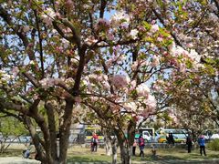 -元大都城垣遗址公园