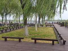 -西青郊野公园