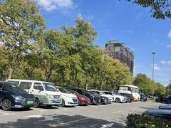 -顾村公园3号门停车场