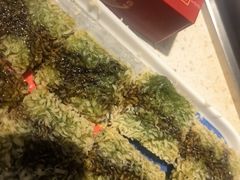 -大龙火锅(龙潭寺旗舰店)