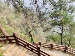 -缙云山景区
