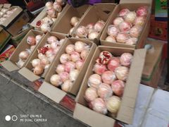 -胡家庙水果批发市场