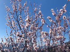 -北京十三陵国家森林公园蟒山景区