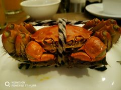 大闸蟹-上海锦江汤臣洲际大酒店壹阶层