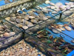 -青蓬蒸汽海鲜·深圳老字号·团建聚会(壹方城店)