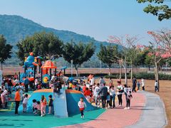 -风云岭森林公园