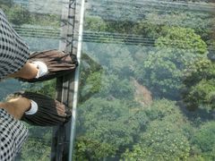 -牛鱼嘴原始生态风景区