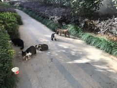 -七浦路服装批发市场