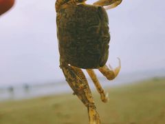 -北海金海湾红树林生态旅游区