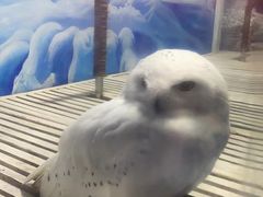 -成都浩海立方海洋公园