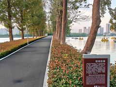 -洋湖国家湿地公园