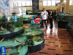 水产区-东豪园林海鲜酒家(南港路辅路店)