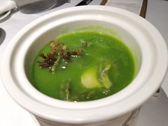 青麦汁鲍鱼-二十四单 淮扬新味