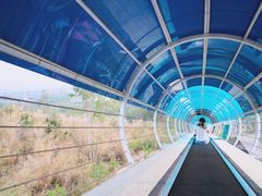 -盈香心动乐园
