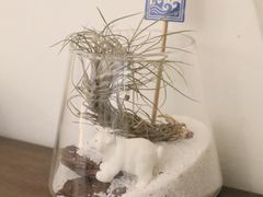 -白熊咖啡(闽江大道店)