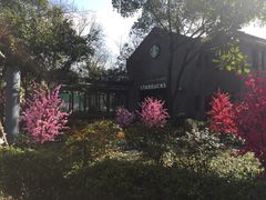 -星巴克(西湖天地店)