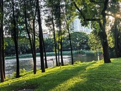 -荔湾湖公园