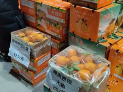 -中环花鸟鱼虫市场