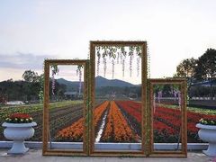 -梅州天地人花园酒店(梅县人民广场店)