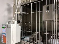 -半岛宠物医院24小时(科华中路店)