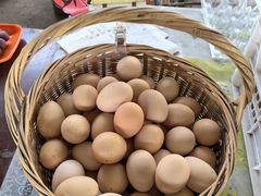 -马陆小张葡萄园农家乐